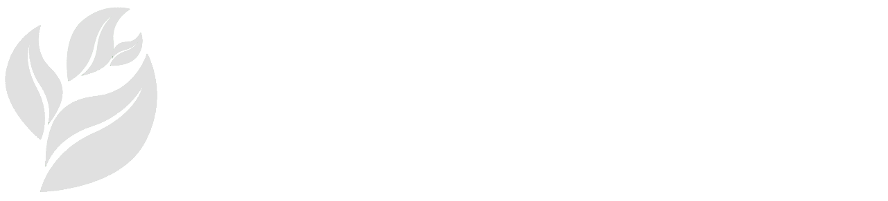 自分の生きる力を思い出し未来を変える心理セラピー